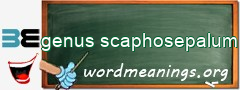 WordMeaning blackboard for genus scaphosepalum